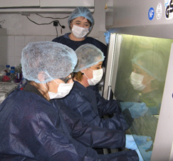 LABORATORY MOLECULAR BIOLOGY OF MICOBACTERIA